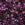 Grossiste en Miyuki Round Beads 11/0 Mix Lilacs (10g)