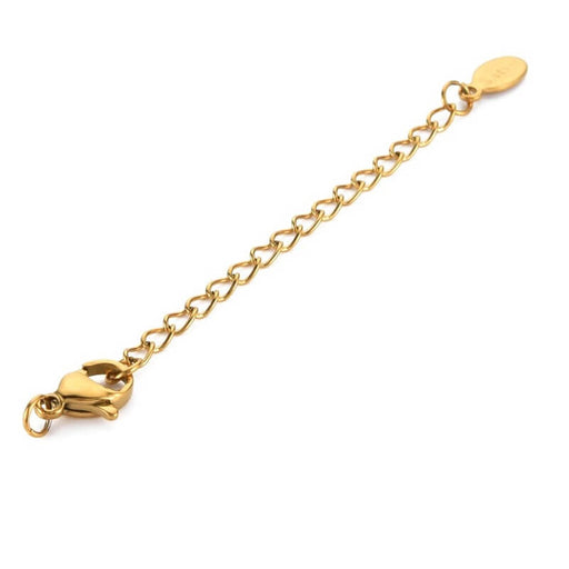 Kaufen Sie Perlen in der Schweiz Verlängerungskette und Karabinerverschluss - 5 cm Edelstahl Gold (1)