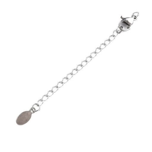 Kaufen Sie Perlen in der Schweiz Verlängerungskette und Karabinerverschluss - 5 cm Edelstahl (1)