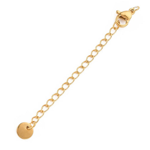 Kaufen Sie Perlen in der Schweiz Karabinerverschluss und Verlängerungskette 5cm mit Medaille - Edelstahl Gold (1)