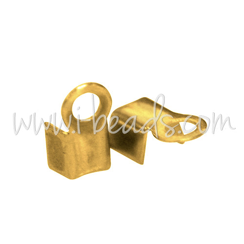 Pinces lacet métal finition doré 2.5x4mm (10)