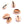 Perlengroßhändler in der Schweiz Kauri Schale für Charms und Schmuck. Hinten geschnitten 17-20mm (10)