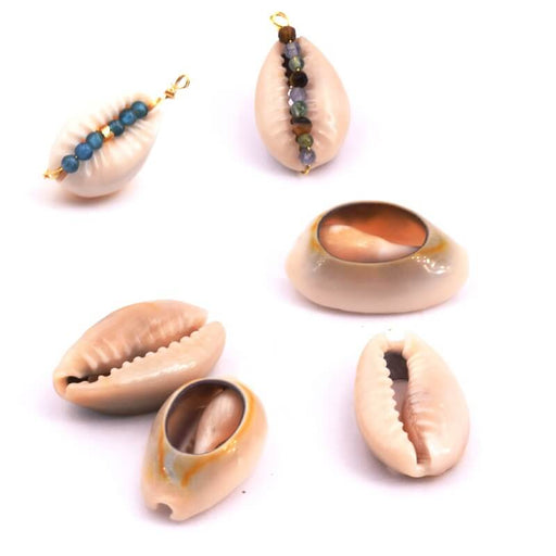 Kaufen Sie Perlen in der Schweiz Kauri Schale für Charms und Schmuck. Hinten geschnitten 17-20mm (10)
