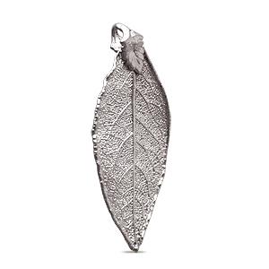 Pendentif véritable feuille d'orme galvanisée platine 50mm (1)