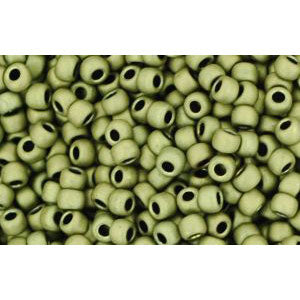 Kaufen Sie Perlen in der Schweiz cc617 - Toho rocailles perlen 11/0 matt colour dark olive (10g)
