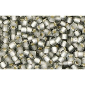 cc29af - Toho rocailles perlen 11/0 silver lined frosted black diamond (10g)