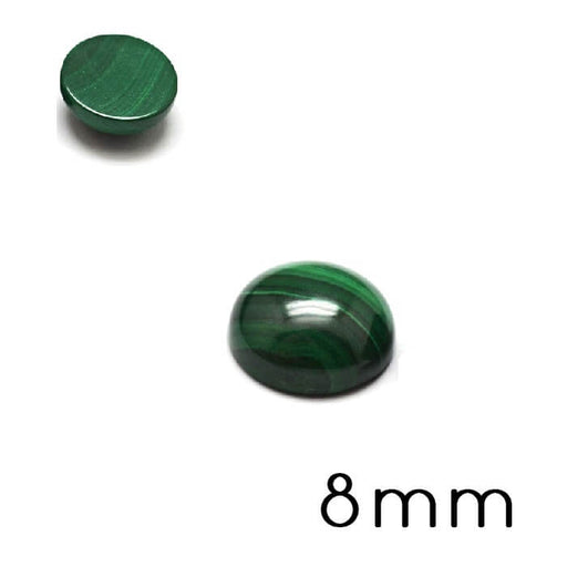 Kaufen Sie Perlen in der Schweiz Cabochon Flacher runder natürlicher Malachit 8mm (1)
