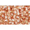 Kaufen Sie Perlen in der Schweiz cc31 - Toho rocailles perlen 8/0 silver lined rosaline (10g)