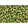 cc1702 - perles de rocaille Toho 11/0 gilded marble green (10g)