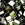 Perlen Einzelhandel Cc458 - miyuki tila perlen brown iris 5mm (5g)