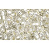 Kaufen Sie Perlen in der Schweiz Cc21 - Toho rocailles perlen 8/0 silver-lined crystal (250g)