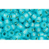 Kaufen Sie Perlen in der Schweiz cc2117 - Toho rocailles 8/0 silver lined milky aqua (10g)