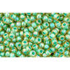 Kaufen Sie Perlen in der Schweiz cc1830 - Toho rocailles perlen 11/0 rainbow light jonquil/ mint (10g)