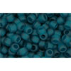 Kaufen Sie Perlen in der Schweiz cc7bdf - Toho rocailles perlen 8/0 transparent frosted teal (10g)