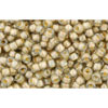 cc369 - perles de rocaille Toho 11/0 black diamond/orange cream lined (10g)