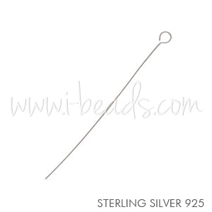 Kaufen Sie Perlen in der Schweiz Kettelstifte Sterling Silber 0,5x50mm (5)