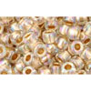 cc994 - perles de rocaille Toho 6/0 gold lined rainbow crystal (10g)