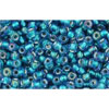 cc274 - perles de rocaille Toho 11/0 rainbow crystal/green teal lined (10g)