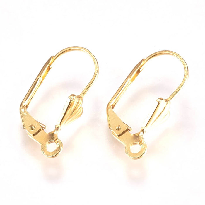 Boucles d'oreilles dormeuses Acier inoxydable doré OR feuille 19x5.5x11mm-2 paires (4)