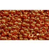 Kaufen Sie Perlen in der Schweiz cc329 - Toho rocailles perlen 11/0 gold lustered african sunset (10g)