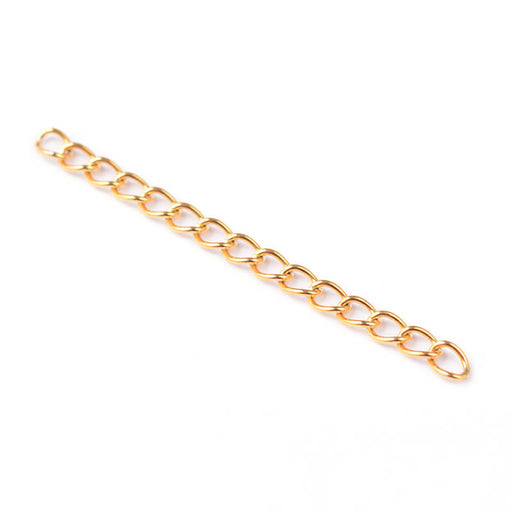 Kaufen Sie Perlen in der Schweiz Verlängerungskette aus Edelstahl- GOLDEN- 50x3mm (2)