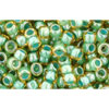 cc380 - perles de rocaille Toho 8/0 topaz/mint julep lined (10g)
