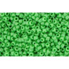 cc47 - perles de rocaille Toho 15/0 opaque mint green (5g)