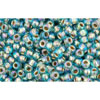 cc995 - perles de rocaille Toho 11/0 gold lined rainbow aqua (10g)