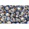 Kaufen Sie Perlen in der Schweiz cc992 - toho rocailles perlen 6/0 gold lined light montana blue (10g)