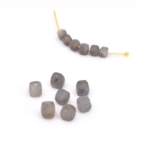Kaufen Sie Perlen in der Schweiz Facettierte Würfelperlen Labradorit 3,5 mm Loch: 0,6 mm (10)