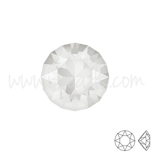 Kaufen Sie Perlen in der Schweiz Swarovski 1088 xirius chaton crystal powder grey 6mm-ss29 (6)