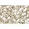 cc21f - perles de rocaille Toho 8/0 silver lined frosted crystal (10g)