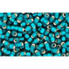 cc27bdf - perles de rocaille Toho 11/0 silver lined frosted teal (10g)