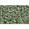 Kaufen Sie Perlen in der Schweiz cc990 - Toho rocailles perlen 11/0 gold lined aqua (10g)