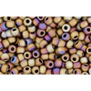 cc614 - perles de rocaille Toho 11/0 matt colour iris brown (10g)