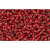 Kaufen Sie Perlen in der Schweiz Cc25c - Toho rocailles perlen 15/0 silver lined ruby (100g)