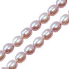 Kaufen Sie Perlen in der Schweiz Süßwasser perlenstrang reisform hellrosa 5mm (1)
