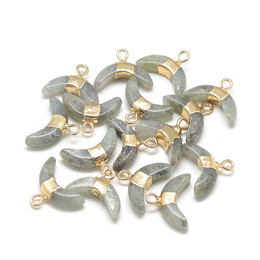 Kaufen Sie Perlen in der Schweiz Labradorite Horn Anhänger, vergoldet 12mm lang, 16mm Breite (1)