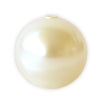 Kaufen Sie Perlen in der Schweiz 5818 Swarovski halbdurchbohrte crystal cream pearl 8mm (4)