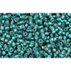 cc270 - perles de rocaille Toho 15/0 rainbow crystal/prairie green lined (5g)