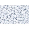 cc767 - perles de rocaille Toho 11/0 opaque pastel frosted light grey (10g)