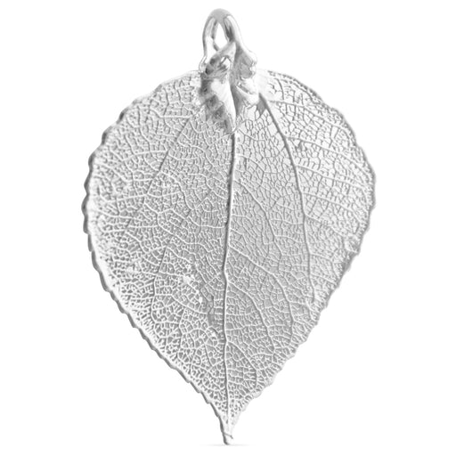 Kaufen Sie Perlen in der Schweiz Anhänger Espenblatt - echtes Naturblatt galvanisiert mit Sterling Silber 50mm (1)