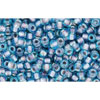 Achat cc277 - perles de rocaille Toho 11/0 aqua/lavender lined (10g)