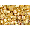 Kaufen Sie Perlen in der Schweiz Toho perlen mix kintaro-gold (10g)