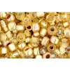 Achat Mix de perles Toho kintaro-gold (10g)