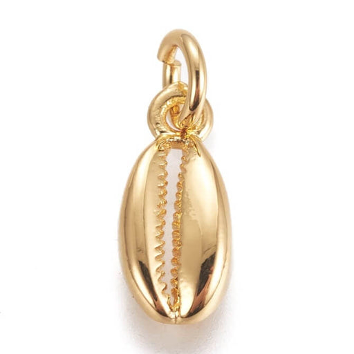 Kauri Schale , Anhänger, GOLD Messing, 11mm mit Ring (1)