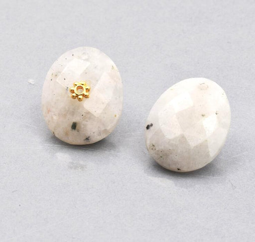 Kaufen Sie Perlen in der Schweiz Anhänger Tropfen Mondstein Oval Facettiert 19x15mm, 0.9mm (1)