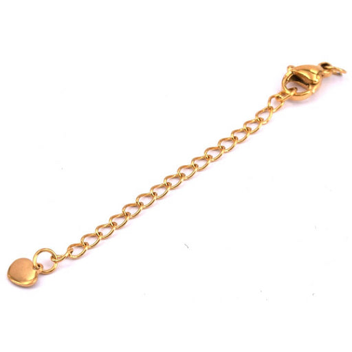 Kaufen Sie Perlen in der Schweiz Karabinerverschluss und Herz-Verlängerungskette 5 cm goldener Edelstahl (1)