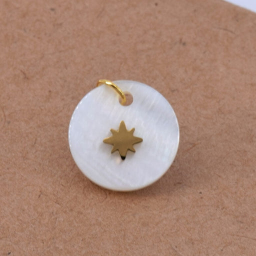 Kaufen Sie Perlen in der Schweiz Runder Anhänger Muschel mit goldenem Edelstahlstern 13mm (1)