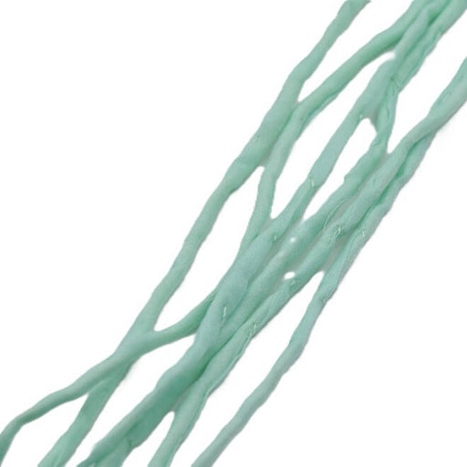 Cordon de soie naturelle teinture main vert pastel 2mm (1m)